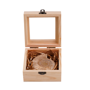 Auténtica amonita Trilobite erizo <span class=keywords><strong>de</strong></span> <span class=keywords><strong>mar</strong></span> fósil caja <span class=keywords><strong>de</strong></span> madera mostrar otras artesanías <span class=keywords><strong>de</strong></span> cristal para la Ciencia Paleontología - Product Image 2