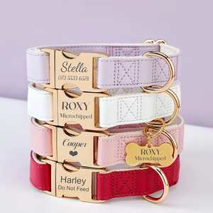 वाटरप्रूफ लक्जरी पु चमड़े के कुत्ते और बिल्ली कॉलर लीड सेट उत्कीर्ण धातु के बकल के साथ सेट - Product Image 1