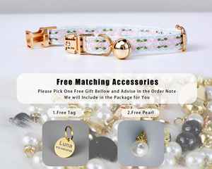 Conjunto de Collar y Correa Personalizados para Mascotas con Diseño Tribal, Hebilla Metálica Grabada y Placa de Identificación Dorada Gratis - Product Image 6