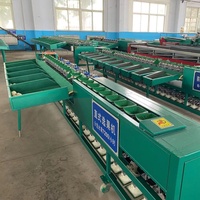 Hete Verkopende Automatische Kokosnoot Passievrucht Mango Dragon Fruit Meloen Fruit Gewicht Sorteermachine Auto Gewicht Sorteermachine