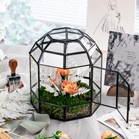 Terrarium de plantes en verre fait à la main, boîte de carte-cadeau, forme de cage d'oiseau, dôme en or noir, Terrarium en verre géométrique