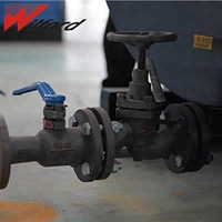 Harga Pabrik WILFORD Boiler Uap Gas Bahan Bakar Industri Horizontal Low NOx Dan Full Condensing Dengan Kontrol PLC
