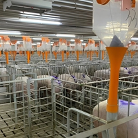 Estructura de Acero Prefabricada para Granjas, Establos para Vacas, Ovejas, Ganado, Lecherías, Cabras, Gallineros, Cobertizos para Cerdos
