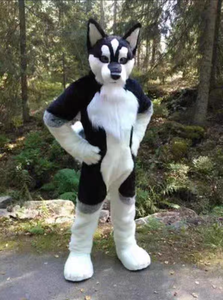 Disfraz de Mascota de zorro/Lobo/perro adulto personalizable, traje de Animal de peluche de <span class=keywords><strong>Halloween</strong></span> para caminar y eventos de Cosplay de dibujos animados - Product Image 5