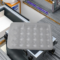 Plateau jetable direct d'usine de biscuits et de chocolat de pp pour le stockage d'usine de nourriture et l'emballage d'affichage