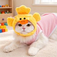 Chapeau de costume amusant pour animaux de compagnie, couvre-chef de dessin animé pour chats et petits chiens, accessoires de photomaton pour animaux, accessoires mignons pour habiller les animaux