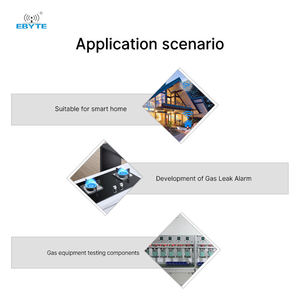 EBTYE Offres Exceptionnelles Capteur de Gaz SM01-CH4A de Petite Taille et à Réponse Rapide pour la Détection du Méthane et la Conception d'Alarmes de Fuite de Gaz - Product Image 6