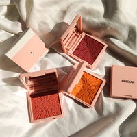 Palette de reflets contour blush