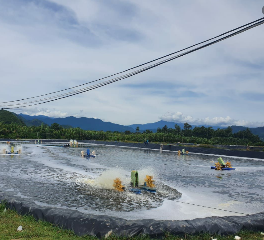 0.2mm 2mm HDPE Geomembrane Dam Reservoir 100m Per Roll Within 12m Width