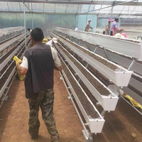 Haute qualité Vertical Pvc Nft Gouttière Système Fraise Gouttière Serre Hydroponique Plantation Gouttière Pour La Culture De Légumes