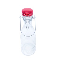 Bouteille d'eau en verre souple transparente avec clip de fermeture / Style spécial hermétique 500 750 1000ml Contenant de boisson à ouverture basculante