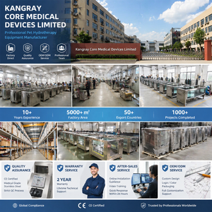 Cinta de correr subacuática eléctrica para perros grandes y gatos, para hidroterapia canina en clínicas veterinarias, a la venta - Product Image 6