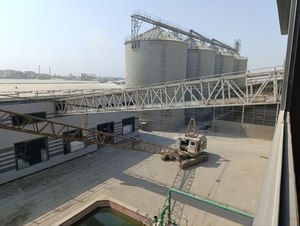 Línea Automática de Procesamiento de Aceite de Colza, Solución Llave en Mano para Planta de Fabricación de Aceite Comestible, Equipo de Extracción de Aceite - Product Image 6