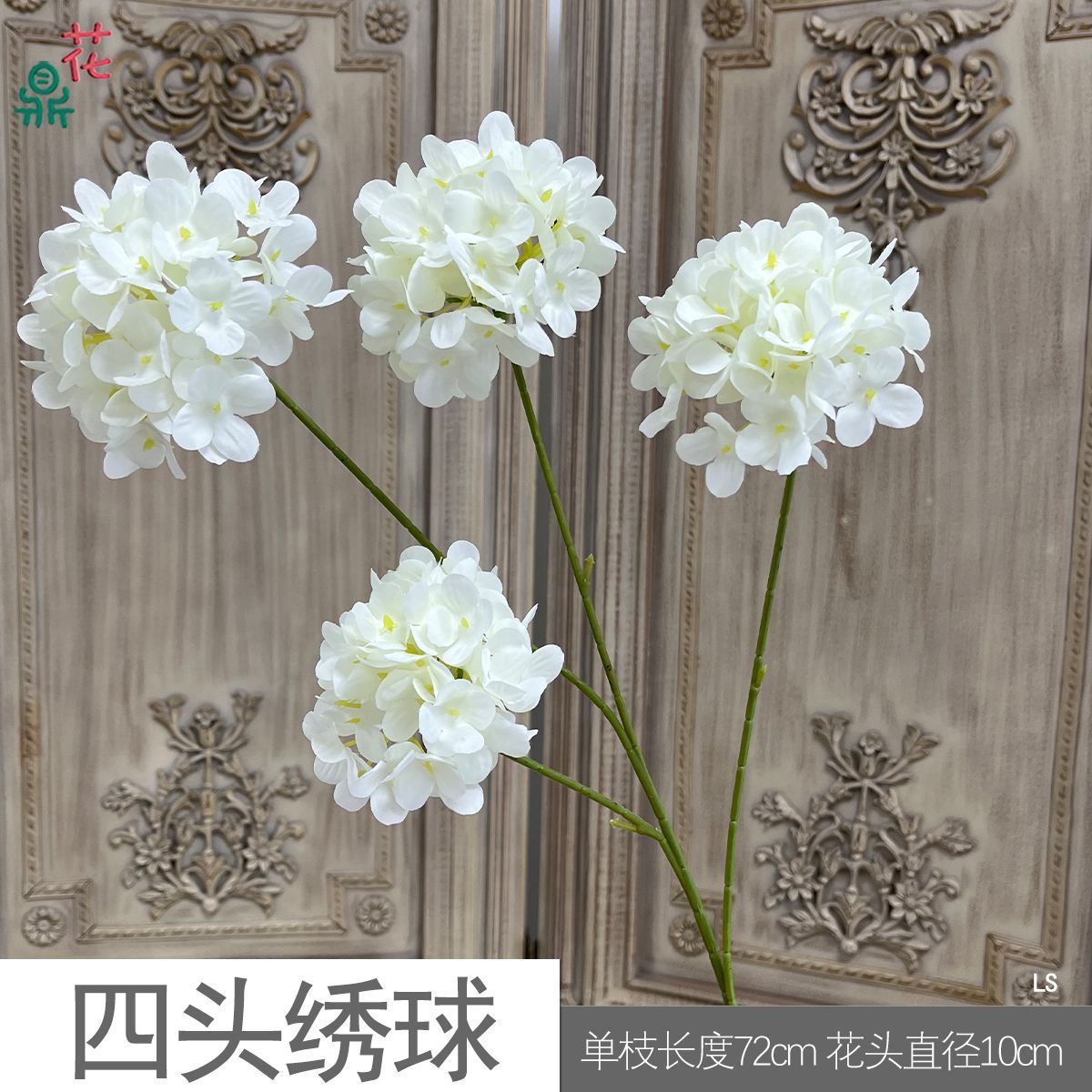 Hortensia à quatre têtes LS Blanc