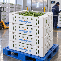 Boîte d'emballage personnalisée en plastique ondulé PP pour okra, pour le stockage des récoltes agricoles, découpée, ventilée et durable