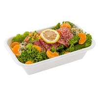 SUMKOKA Plateaux rectangulaires profonds robustes, durables, écologiques, biodégradables, en bagasse de canne à sucre, avec couvercle