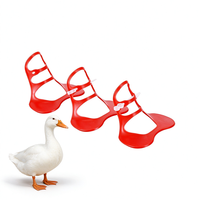 Lunettes anti-picage en plastique pour canards, oies et poulets – Protection oculaire pour poulaillers – Équipement d'élevage
