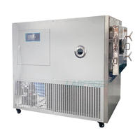 LABFREEZ 20kg Pilot Siliconenolie Circulerende Probiotica Polypeptide Voedsel Fruit Lyofilisator Vacuüm Vriesdroger