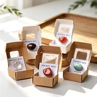 Lot de Pierres Roulées Naturelles en Cristal, Boîte de Spécimens Minéraux Colorés, Cadeau Pédagogique Scientifique pour Enfants, Ornement Décoratif pour la Maison