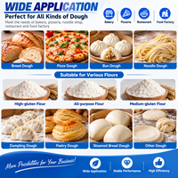 Mélangeur à spirale commercial à double vitesse et double action en acier inoxydable pour la production de pâte à boulangerie, à pizza et à pain