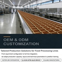 Ligne de production industrielle de gâteaux Tiramisu, aérateur continu de mascarpone, machine de pulvérisation de sirop de café et de saupoudrage de cacao