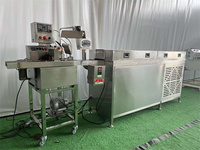 Mini machine d'enrobage de chocolat de table 2023, petite ligne de fabrication de chocolat pour la production de plaquettes de bar et de biscuits
