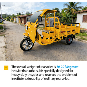 Camionnette électrique intelligente à 2 roues, carrosserie ouverte, pour le transport <span class=keywords><strong>de</strong></span> GPL, avec support pour 15 bouteilles <span class=keywords><strong>de</strong></span> gaz, assistance au freinage et capacité <span class=keywords><strong>de</strong></span> charge élevée pour une livraison urbaine sécurisée - Product Image 5