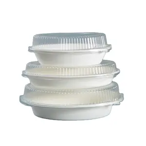 Container Bagasse Oval Sugar Cane Disposable Packaging Biodegradable Food Container Bagasse