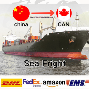 DDP Amazon FBA DHL <span class=keywords><strong>Service</strong></span> logistique international Transitaire fret mer aérien Agent d'expédition pour LCL + Express Italie Europe USA CA - Product Image 4