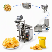 Volledig automatische batch multifunctionele chips productielijn met automatische afvoer friteuse voor aardappel-, zoete aardappel-, banaan- en cassavechips