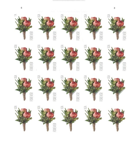 2017 Rosa 500374-R0-160-17QZXH