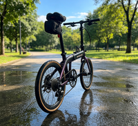 Bicicleta Plegable Aurora Chameleon Gradient T700 de Carbono con Pintura de Cambio de Color Exclusiva, 10 Velocidades, Ligera, Estilo Urbano