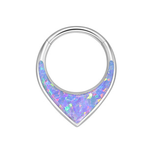 Titanyum alaşım Astm F136 burun yüzük <span class=keywords><strong>Septum</strong></span> <span class=keywords><strong>Opal</strong></span> kulak kemik damızlık dikişsiz Cochlear Piercing takı Punk Unisex - Product Image 6