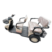 Mini tricycle électrique 1000W pour adultes, 3 places, 3 roues, tout-terrain, scooter de mobilité ouvert pour le tourisme et le transport