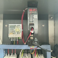 Petite machine de remplissage de liquides par pesage pour l'huile, machine de remplissage par pesage à 2 têtes avec moteur servo
