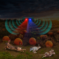 Répulsif Solaire Ultrasonique Écologique en ABS de Bonne Qualité avec Alarme et Flash Stroboscopique Étanche pour Ferme, Cour et Verger