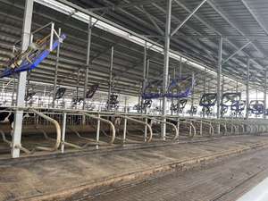 Matelas pour vache, lit d'eau, lit frotté, <span class=keywords><strong>prix</strong></span> d'usine direct, vente en gros, durable - Product Image 5