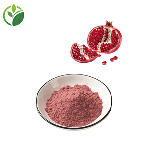 Bubuk Delima Beku Kering Berkualitas Tinggi Grade Makanan OEM, Bubuk Jus Delima, Bubuk Buah Delima Organik - Product Image 2