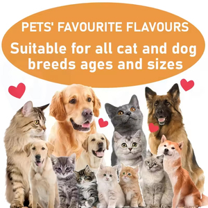 Commercio all'ingrosso Pet vitamina <span class=keywords><strong>Ad3E</strong></span> supplemento per cani Coq10 e acido folico immunità generale salute integratori multifunzionali per cani 8 in 1 - Product Image 5