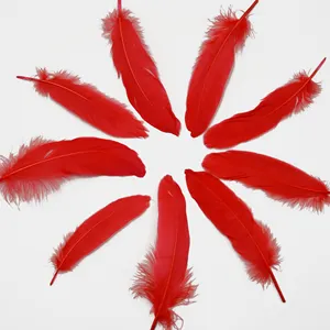 Pluma <span class=keywords><strong>de</strong></span> ganso natural para manualidades DIY pluma ala tocado disfraz sombrero accesorio para el cabello <span class=keywords><strong>carnaval</strong></span> fiesta boda hogar Navidad Decoración - Product Image 1
