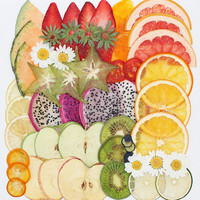 Gedroogde echte fruit specimens sinaasappel citroen aardbei kiwi plakjes hars gecoate telefoonhoes accessoires DIY knutselmaterialen kit