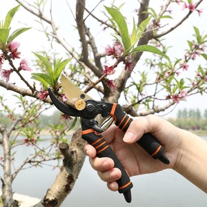 Pinheng Garden Shears Stainless Steel Bypass <b>Pruner</b> 20-30 Mm For Pruning Branches Orange Manual Operation - Product Image 2