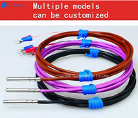 Temperature Sensor RTD T/E/J/K Type PTFE Insulation Waterproof Pin-type Probe OEM/ODM Customizable Length IP68