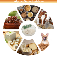 Complément alimentaire Poudre d'alpha-galactosidase 2100 U/g Enzyme alpha-galactosidase