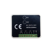 Receptor Multifrecuencia de 2 Canales de 10-30 V, Compatible con Varias Marcas de Receptores de Señal de Control de Motor