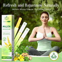 Stylo Inhalateur d'Aromathérapie au Molène à Marque Blanche OEM, Huile Essentielle de Menthe Rafraîchissante, Détox Pulmonaire, Diffuseur Herbal au Molène