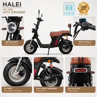 Moto électrique de style Citycoco 1000W 60V30Ah 45km/h avec freins à disque doubles, autonomie de 75km, scooter électrique pour adultes pour les trajets quotidiens