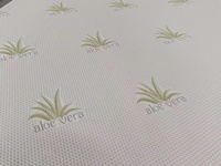 Échantillon gratuit Couvre-matelas en mousse à fermeture éclair Amovible Lavable Aloe Vera Smart Firm Foam Queen King 6 pouces 15cm Matelas en mousse