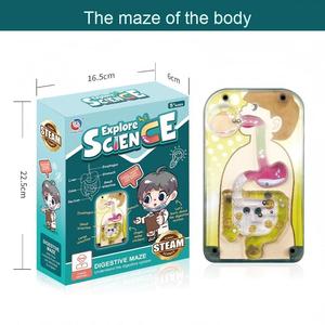 Modelo de Órganos Humanos Educativo para Niños, Juguete de Ciencia y Tecnología, Ensamblaje DIY, Cognición Temprana, STEAM, Juguete Médico Interno - Product Image 5