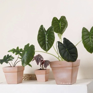Vaso Quadrato Minimalista in Argilla Rossa Vintage Traspirante per Balcone, Semplice Composizione di Piante Grasse, <span class=keywords><strong>Cactus</strong></span>, Phalaenopsis, Giardino Interno - Product Image 4